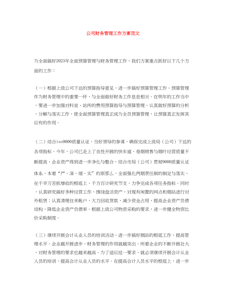 2023年公司财务管理工作计划.docx_第1页