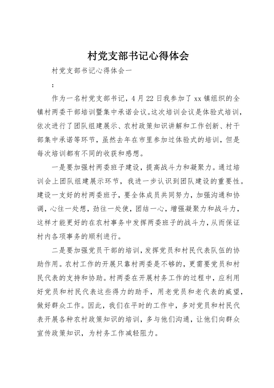 2023年村党支部书记心得体会新编.docx_第1页