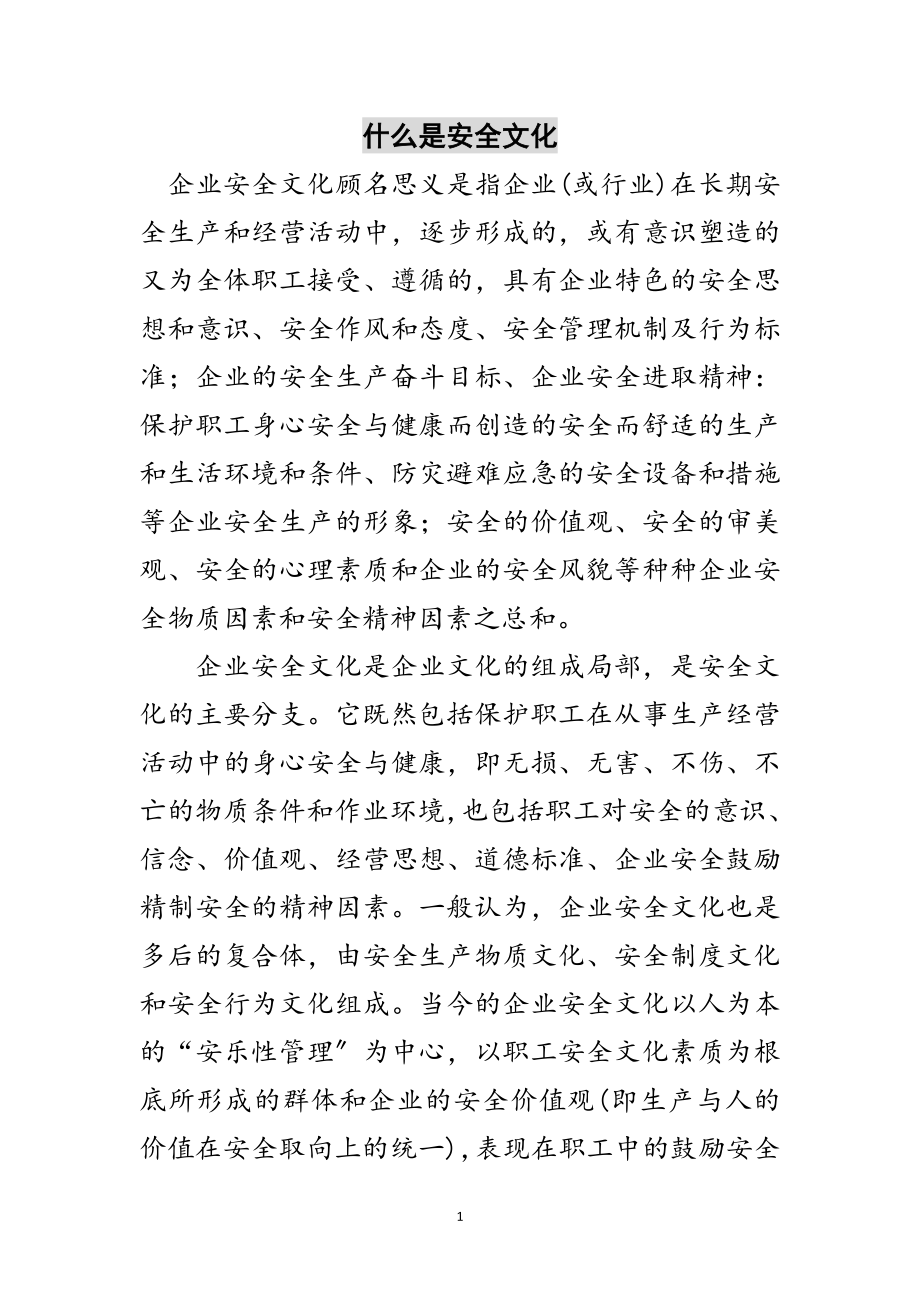 2023年什么是安全文化范文.doc_第1页