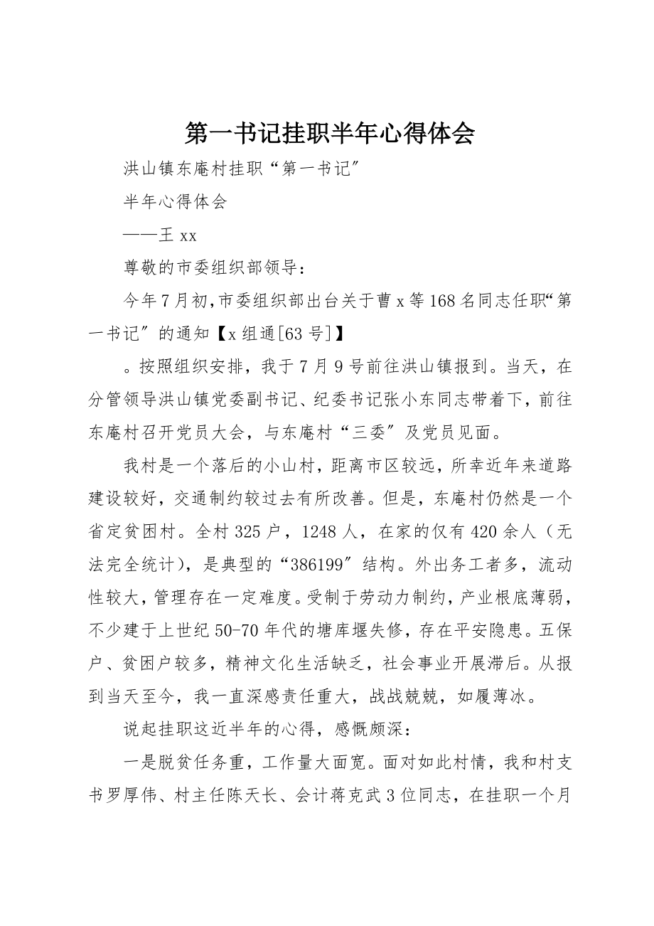 2023年第一书记挂职半年心得体会新编.docx_第1页