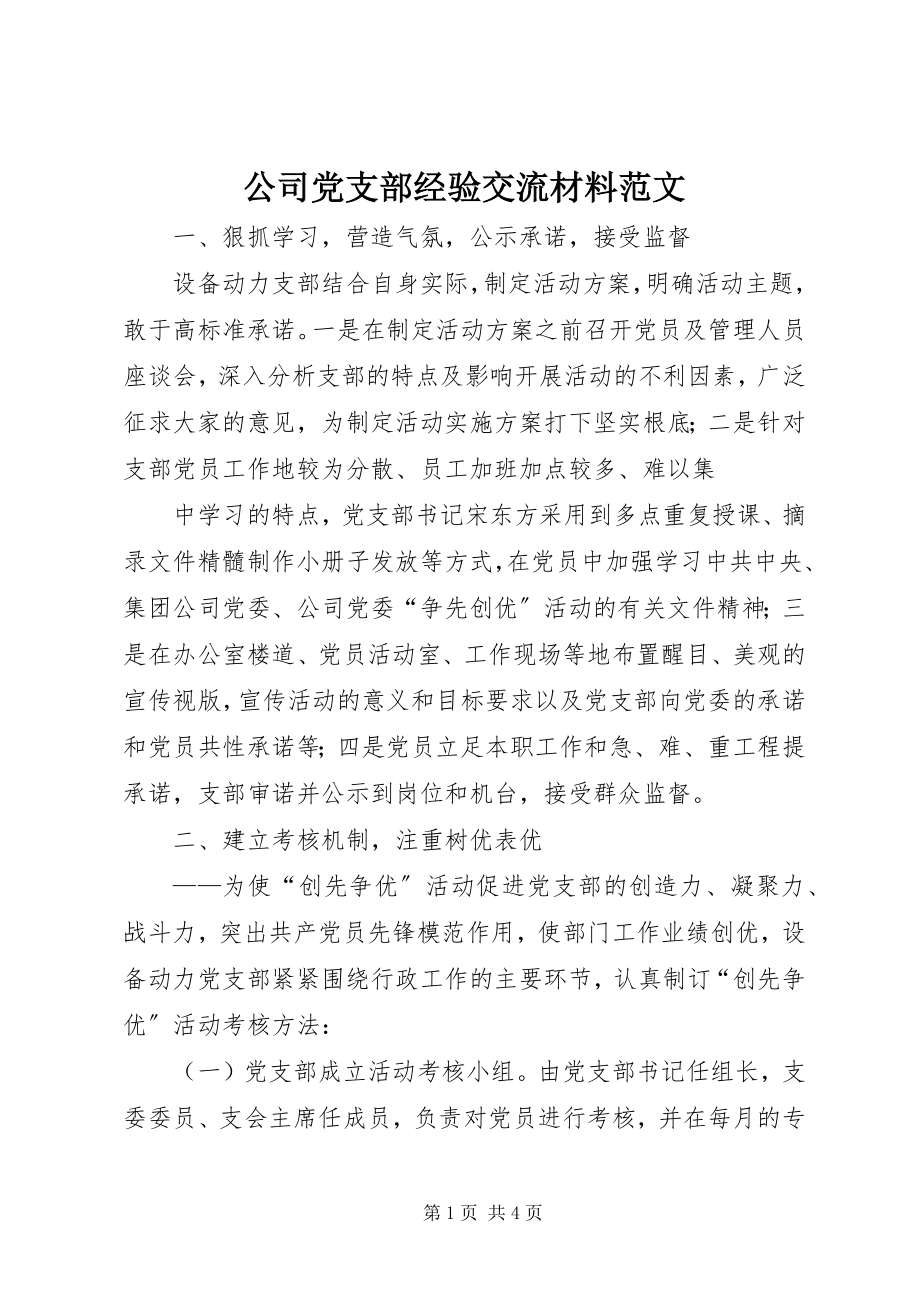 2023年公司党支部经验交流材料2.docx_第1页