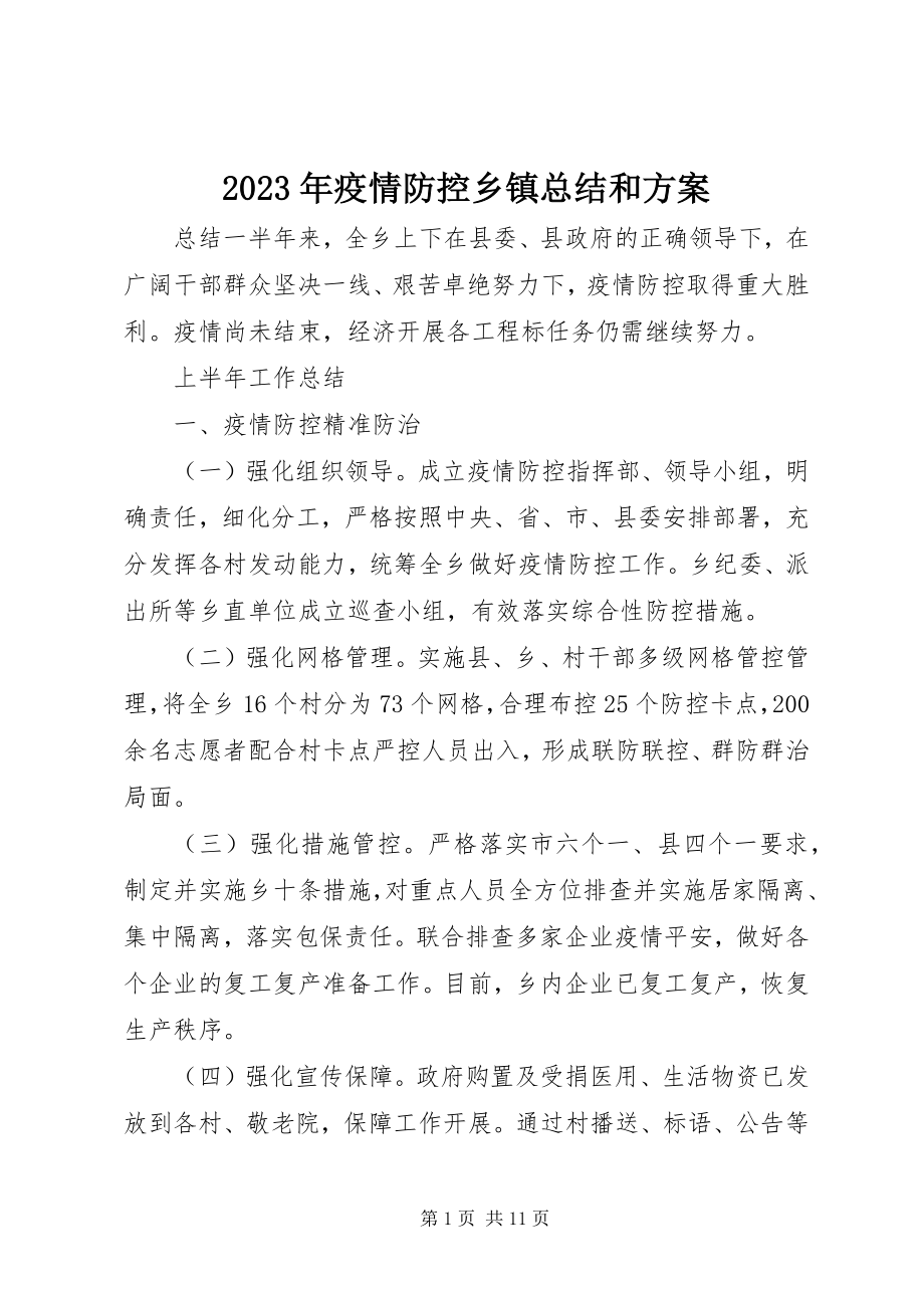 2023年疫情防控乡镇总结和计划.docx_第1页