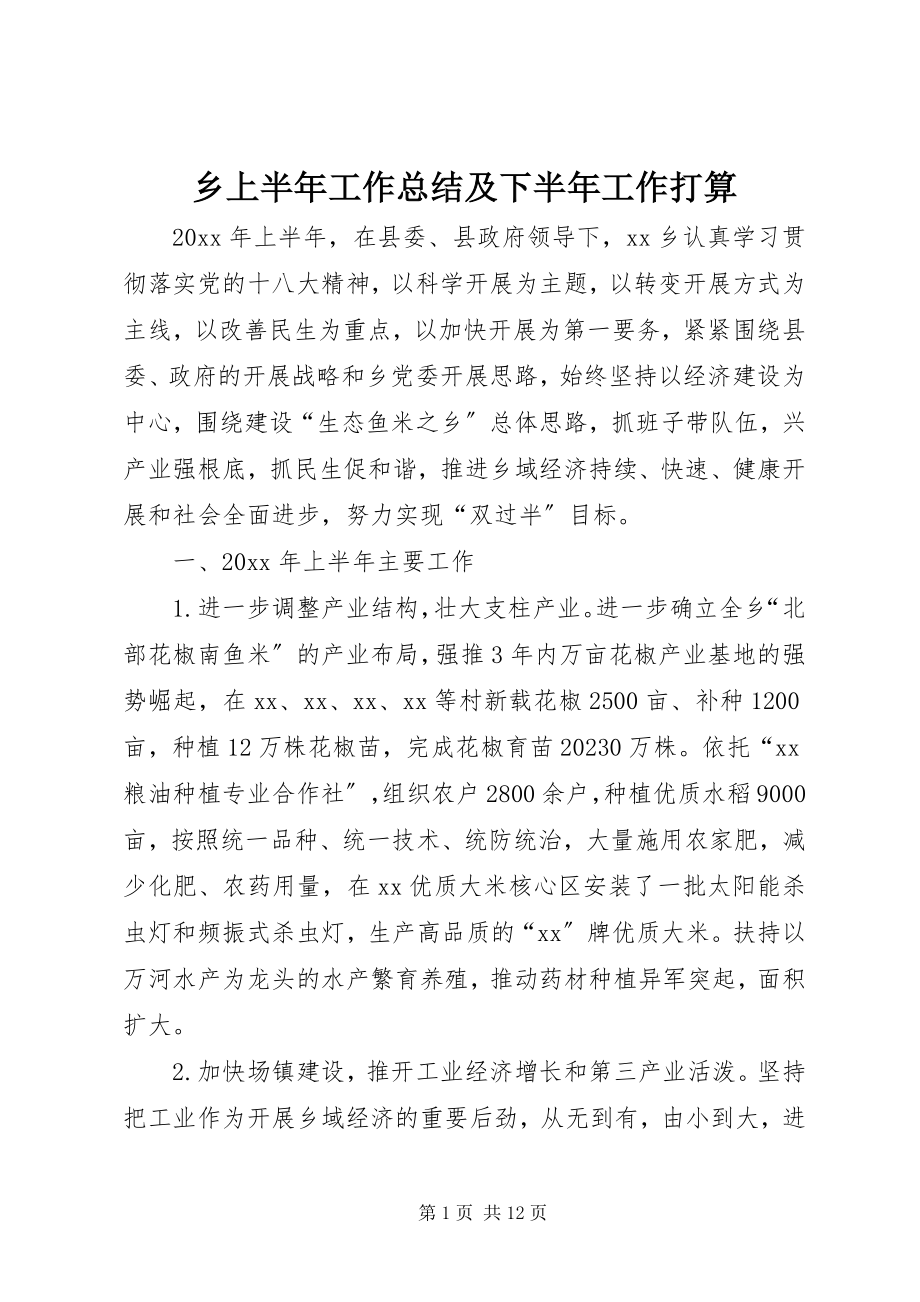 2023年乡上半年工作总结及下半年工作打算.docx_第1页