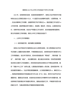 商务局2023年上半年工作总结及下半年工作计划.docx