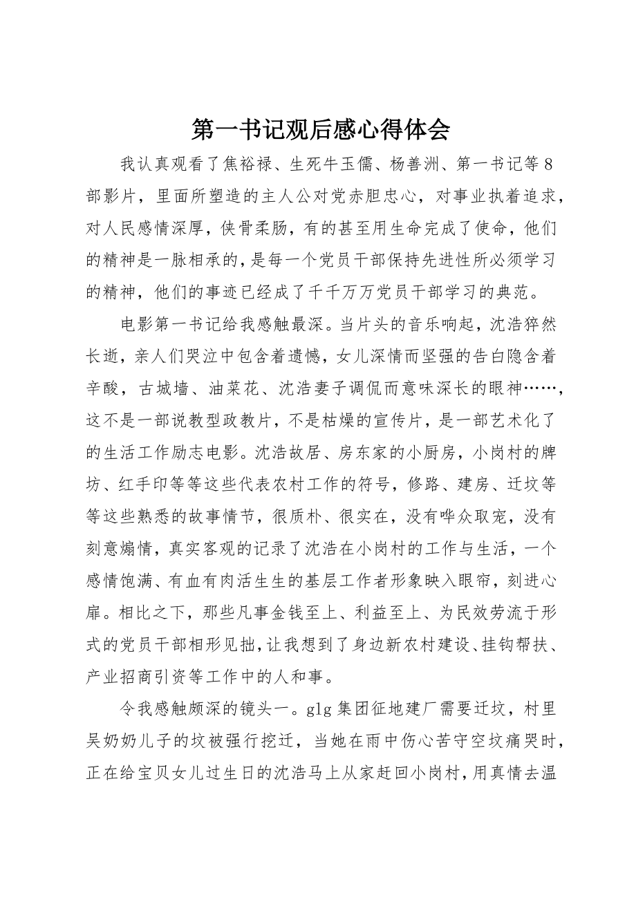 2023年第一书记观后感心得体会新编.docx_第1页