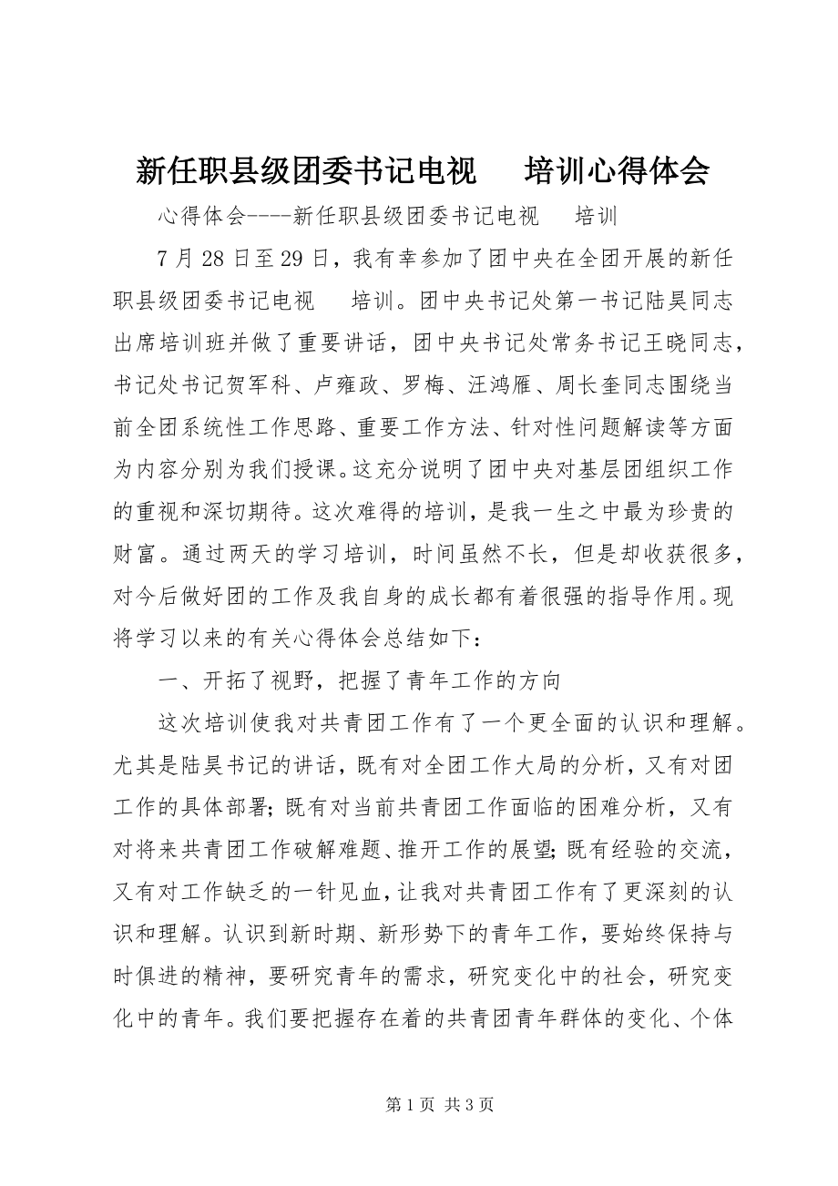 2023年新任职县级团委书记电视电话培训心得体会.docx_第1页