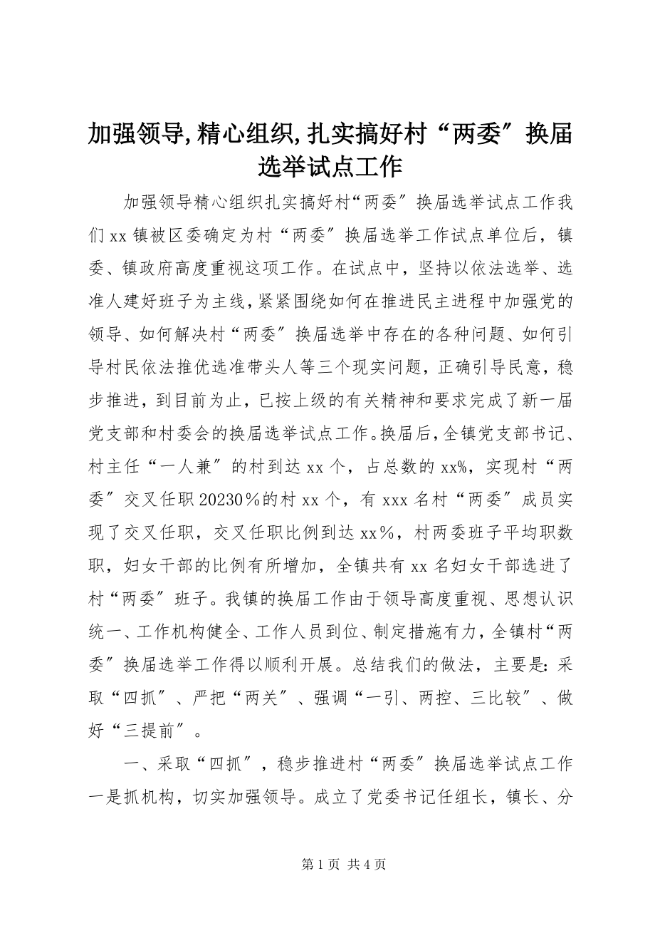 2023年加强领导精心组织扎实搞好村“两委”换届选举试点工作3.docx_第1页