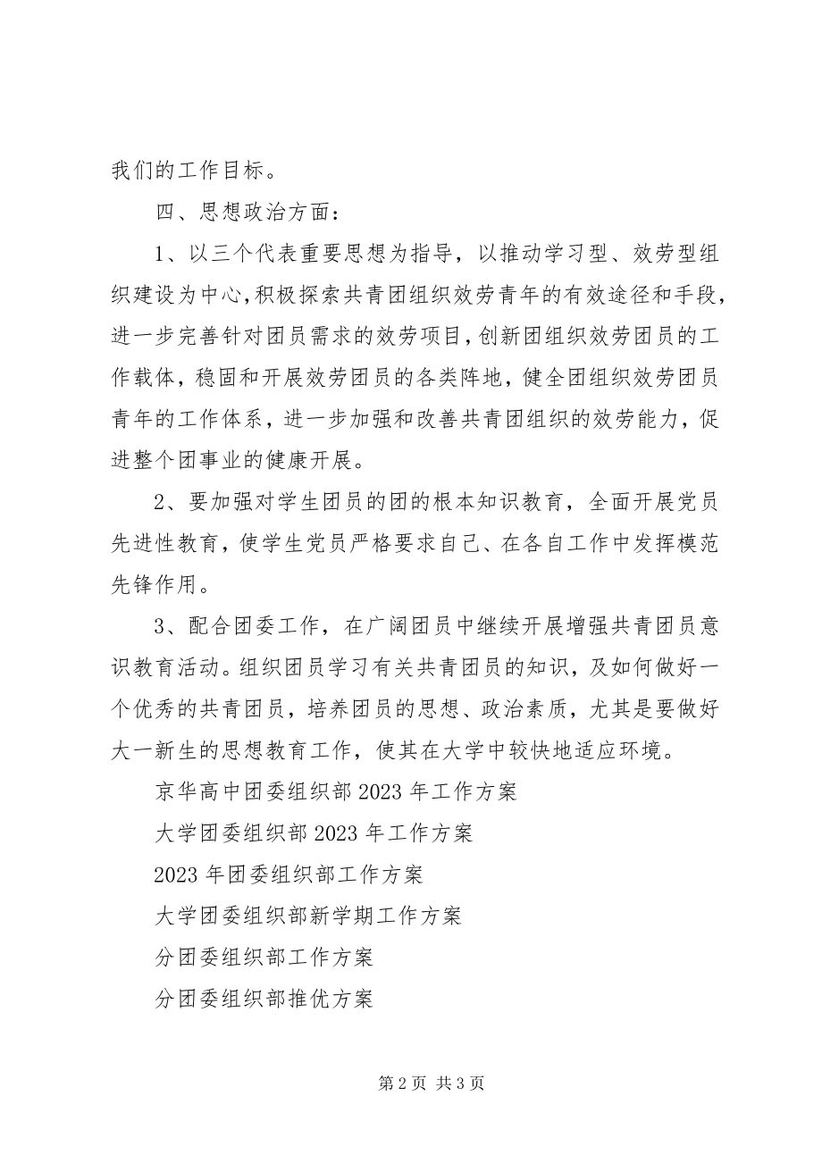 2023年团委组织部工作计划.docx_第2页