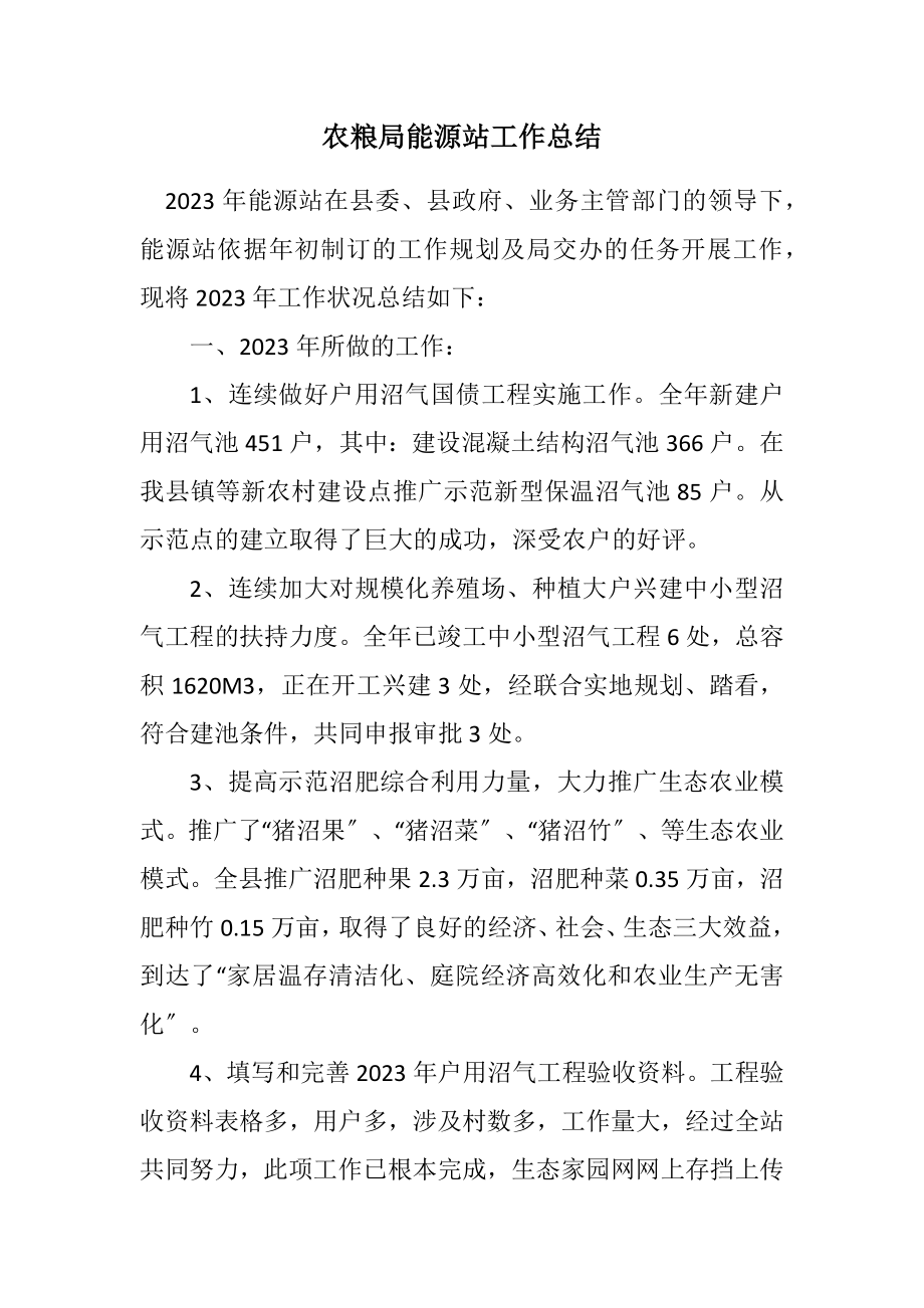 2023年农粮局能源站工作总结.docx_第1页