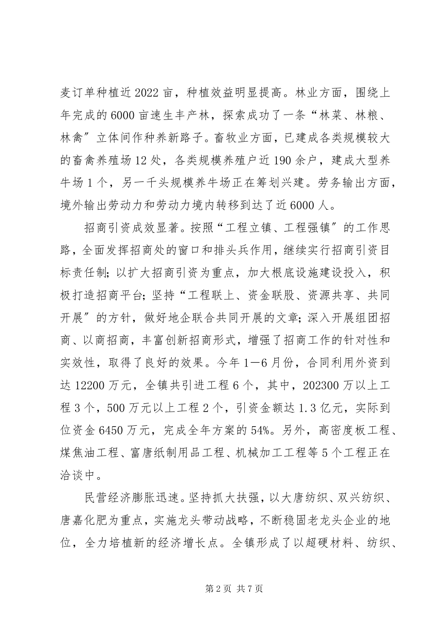 2023年乡镇维稳思路布局乡镇上半年总结及下半年思路.docx_第2页