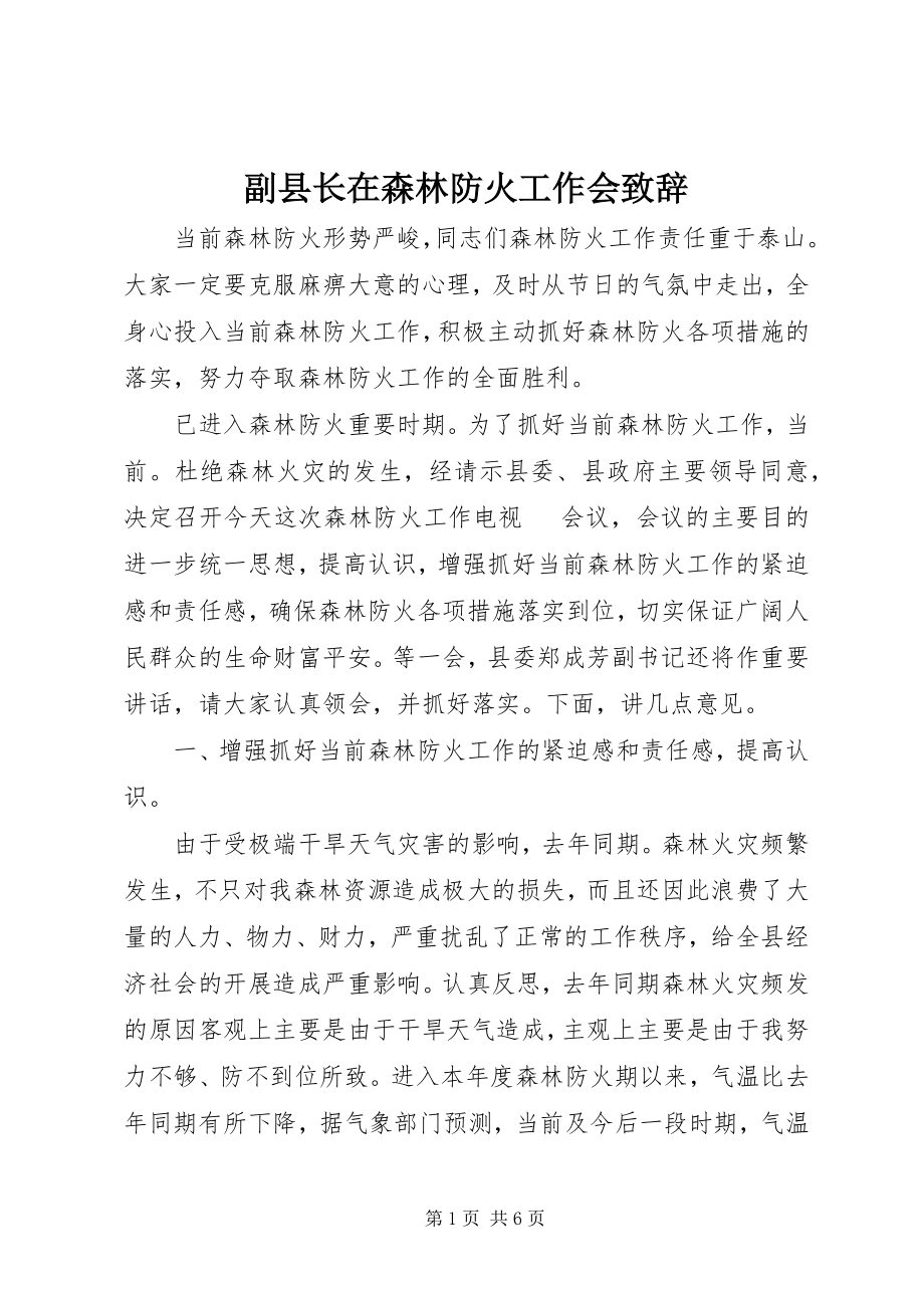 2023年副县长在森林防火工作会致辞.docx_第1页