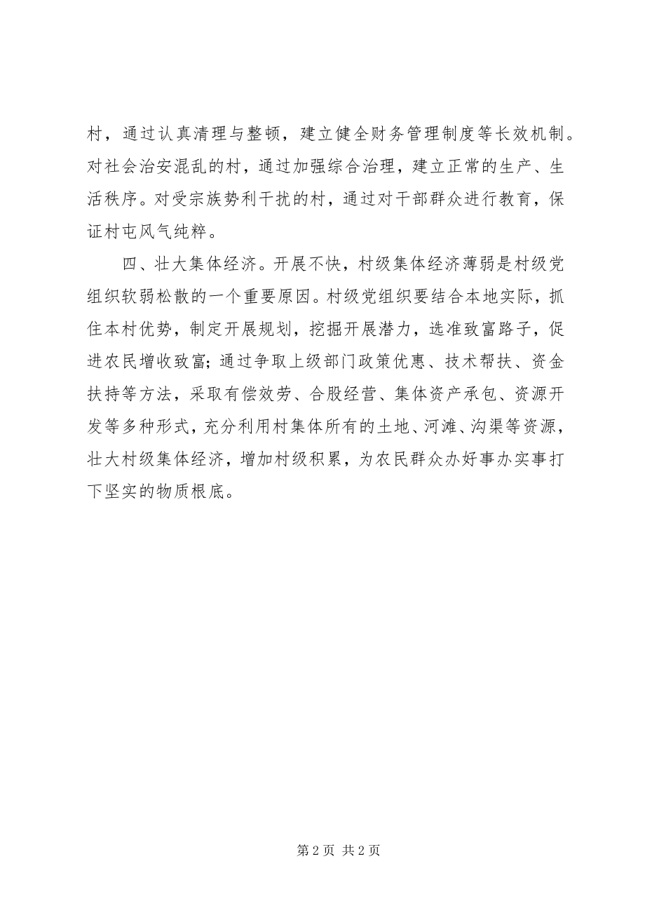 2023年软弱涣散组织整改措施.docx_第2页