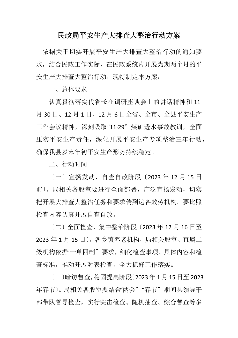 2023年民政局安全生产大排查大整治行动方案.docx_第1页