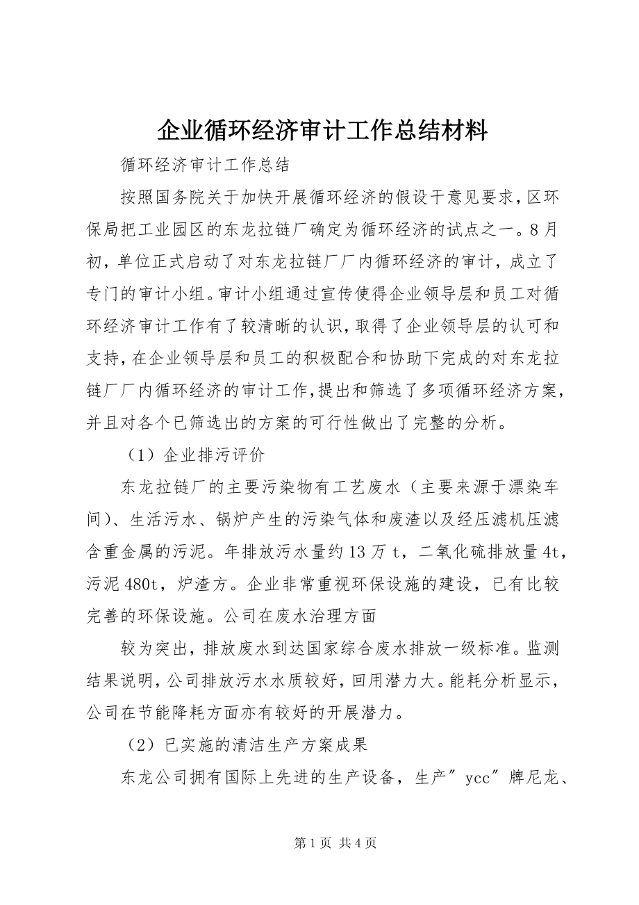 2023年企业循环经济审计工作总结材料.docx_第1页