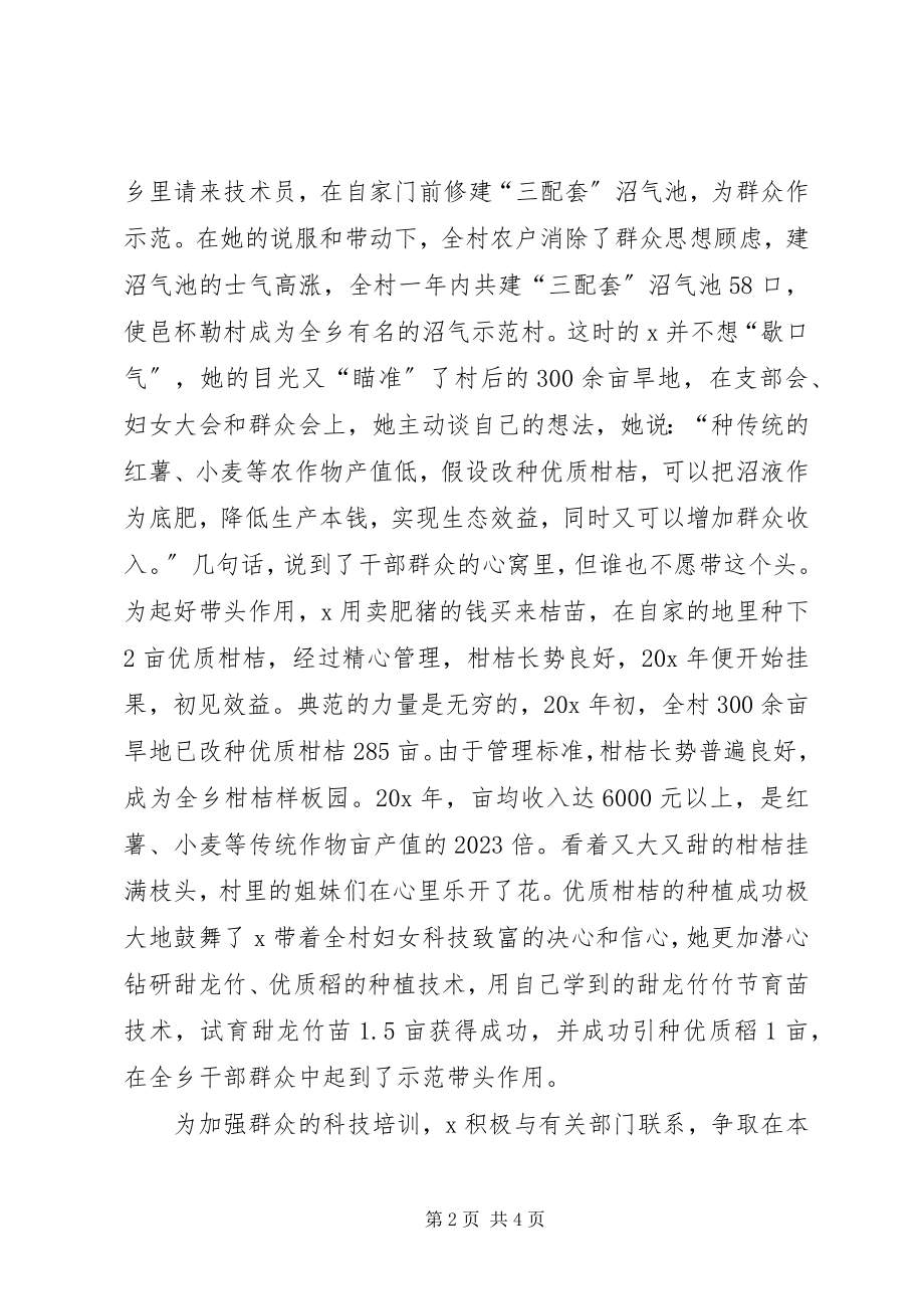 2023年妇代小组长事迹材料.docx_第2页