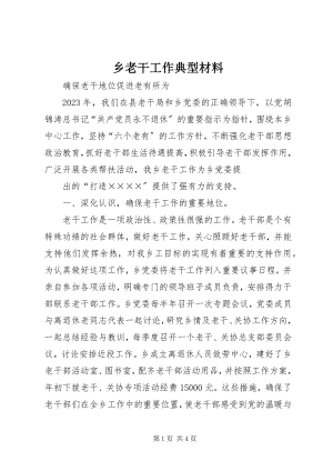 2023年乡老干工作典型材料.docx