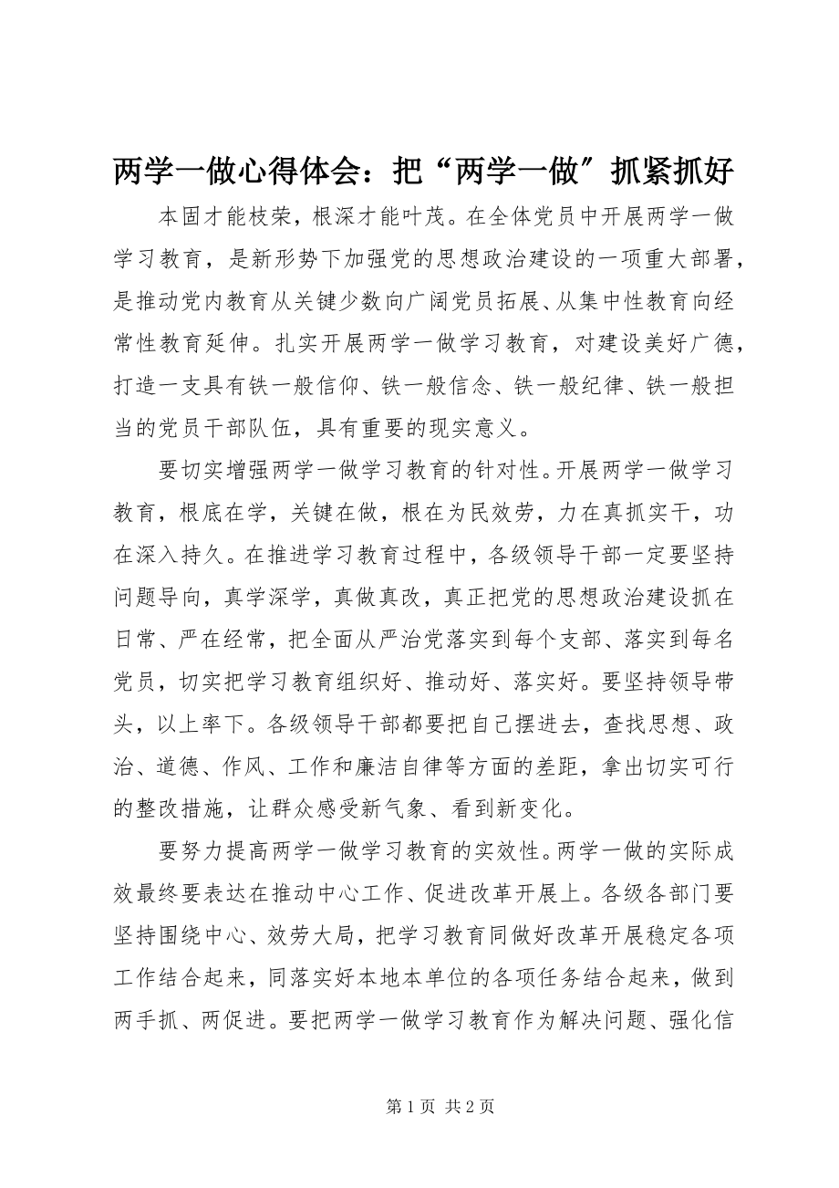 2023年两学一做心得体会把“两学一做”抓紧抓好.docx_第1页