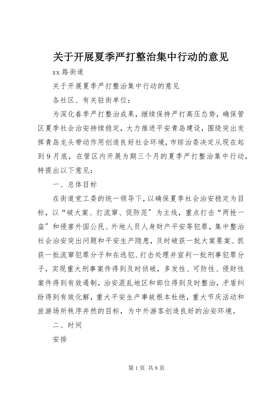 2023年开展夏季严打整治集中行动的意见.docx_第1页