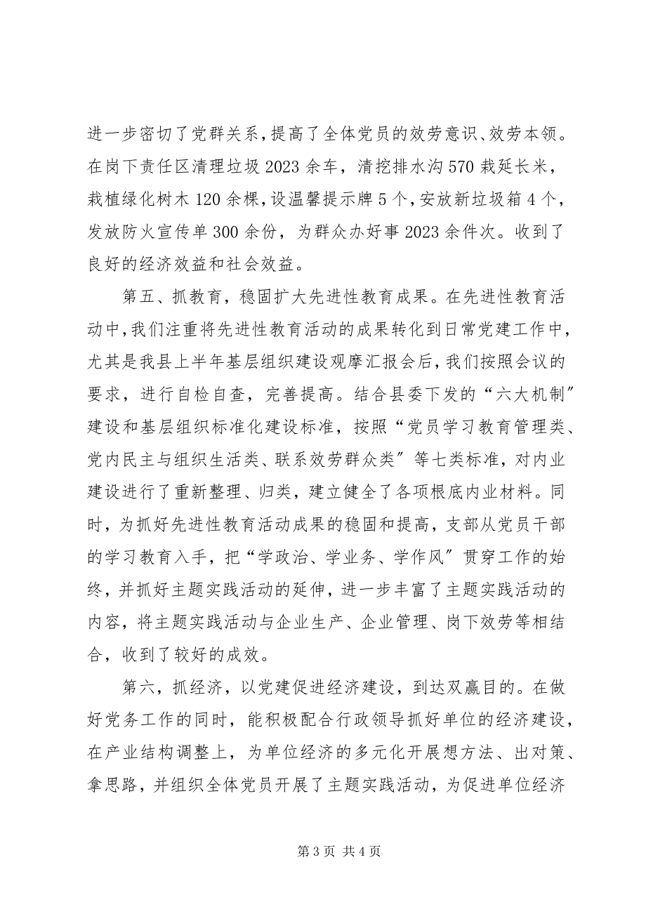 2023年公司党支部书记工作总结.docx_第3页