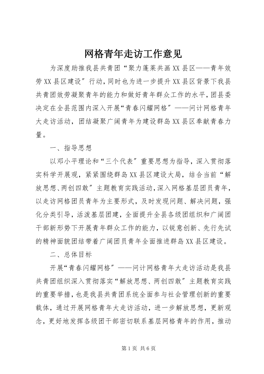 2023年网格青年走访工作意见.docx_第1页