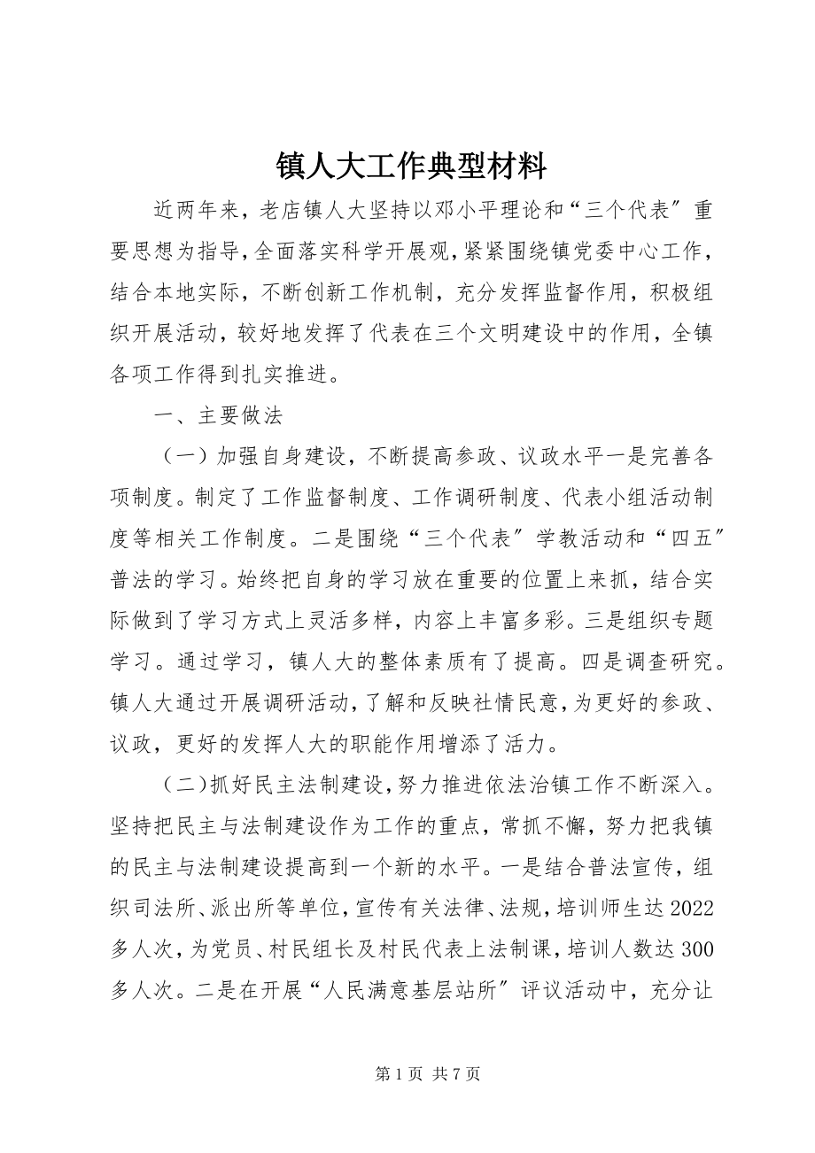 2023年镇人大工作典型材料.docx_第1页