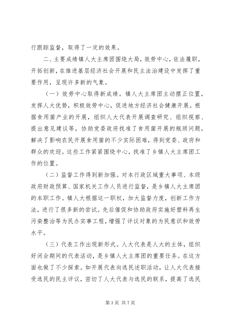 2023年镇人大工作典型材料.docx_第3页