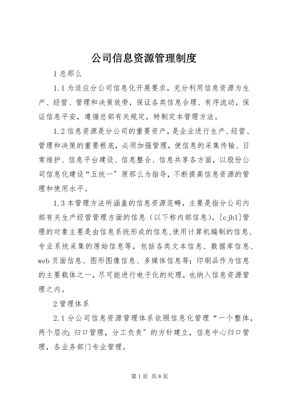 2023年公司信息资源管理制度.docx_第1页