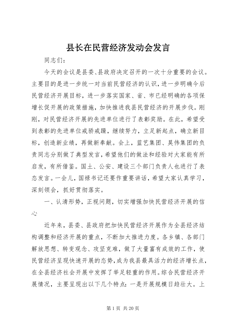 2023年县长在民营经济动员会讲话.docx_第1页