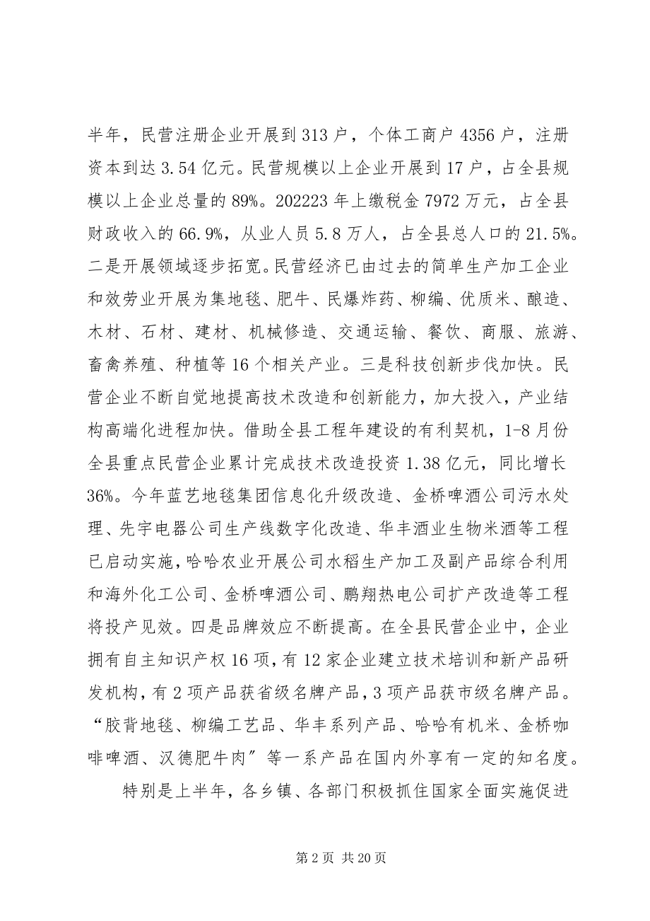 2023年县长在民营经济动员会讲话.docx_第2页