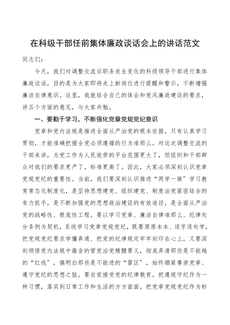 廉政谈话在科级干部任前集体廉政谈话会上的讲话任前廉政谈话领导讲话范文.doc_第1页