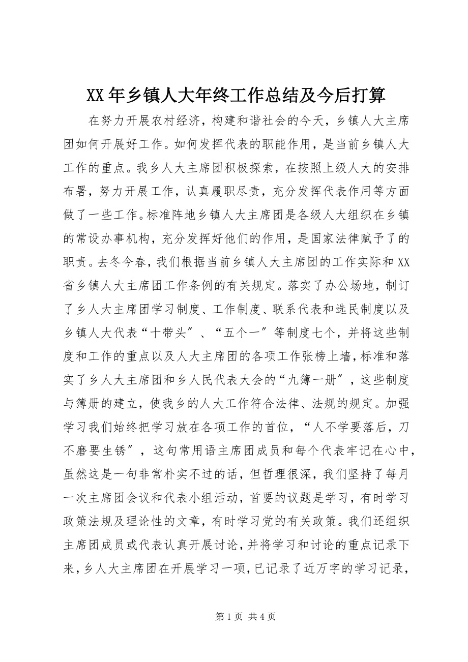 2023年乡镇人大年终工作总结及今后打算2.docx_第1页