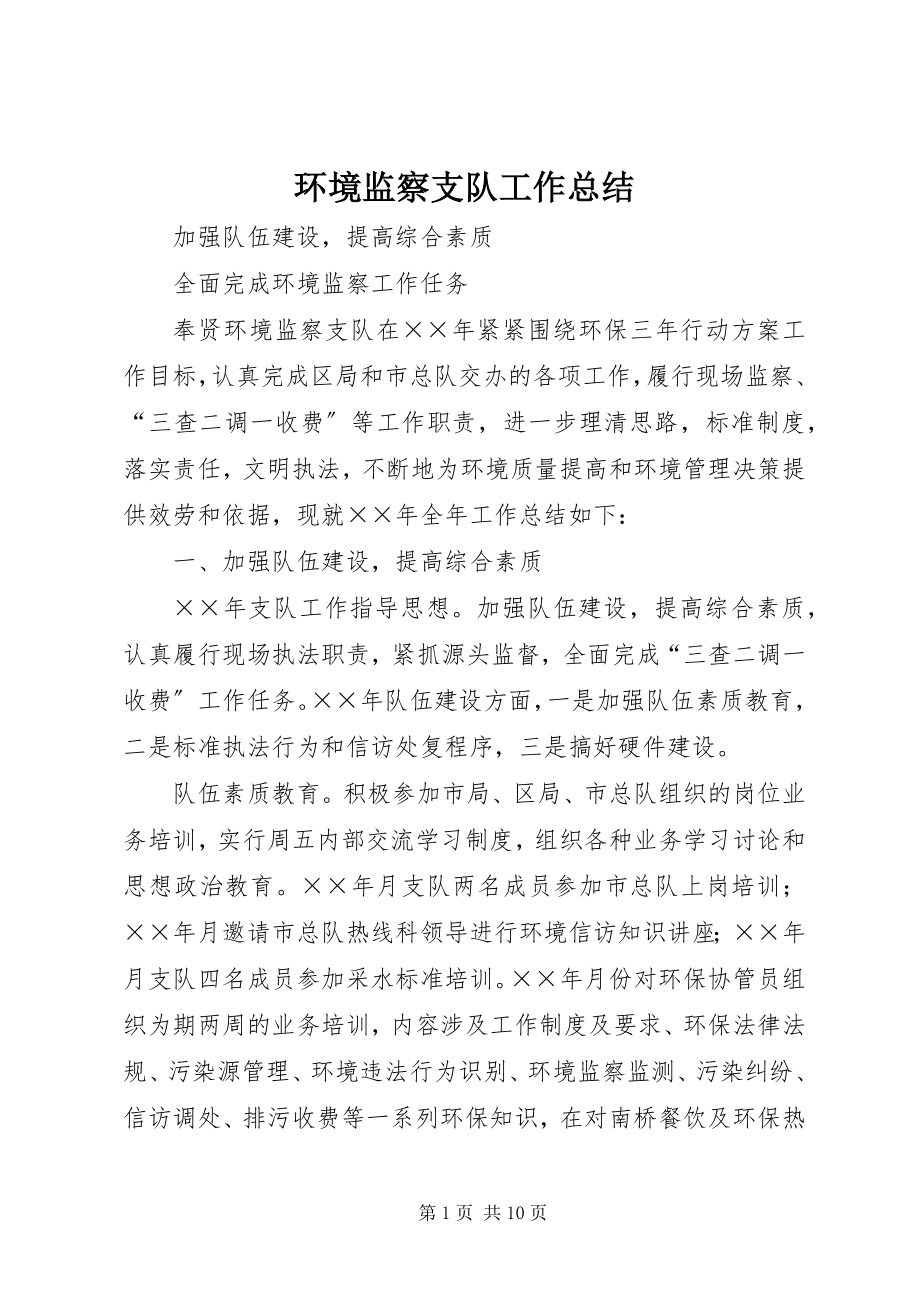 2023年环境监察支队工作总结.docx_第1页