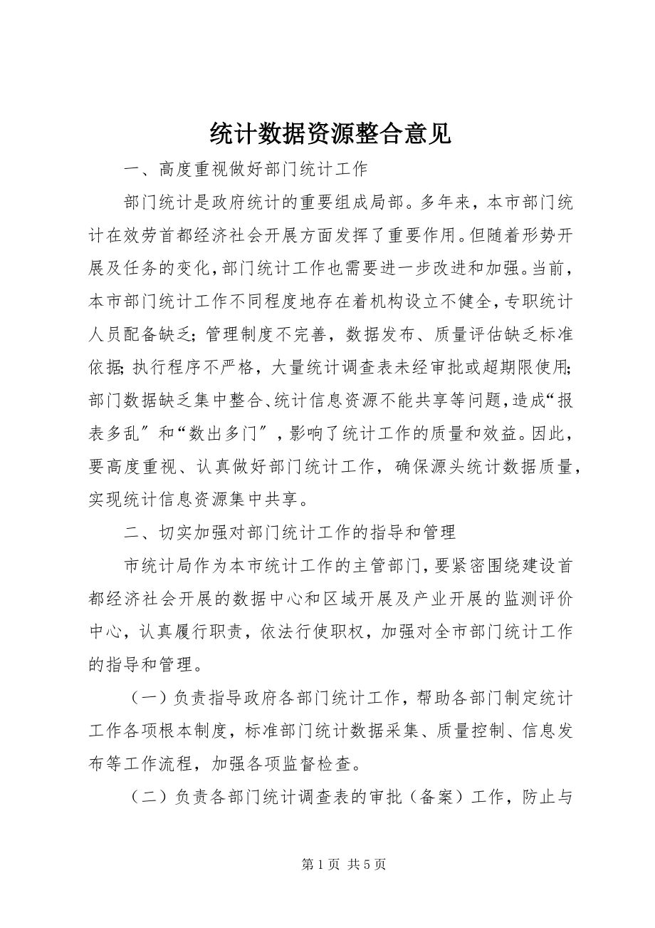 2023年统计数据资源整合意见.docx_第1页