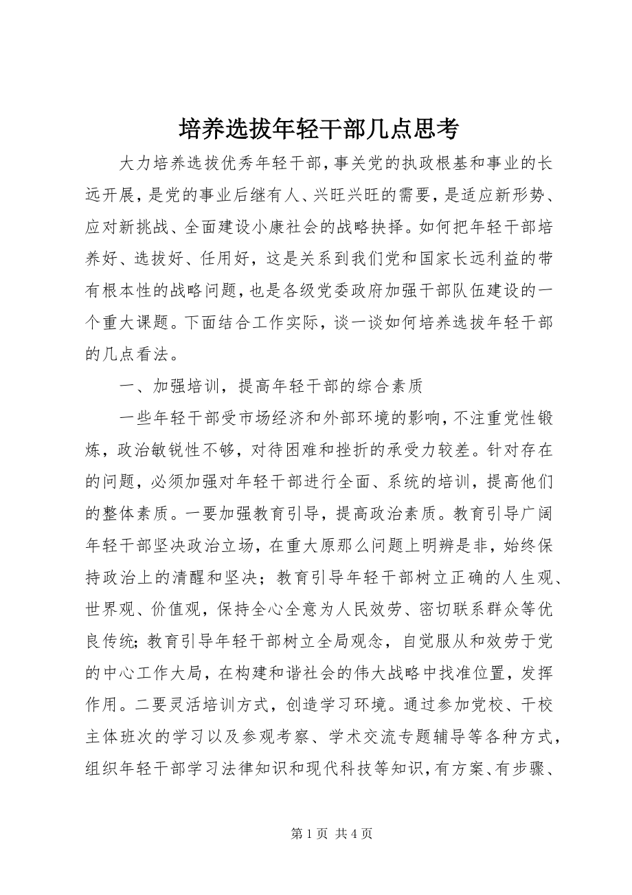 2023年培养选拔年轻干部几点思考.docx_第1页