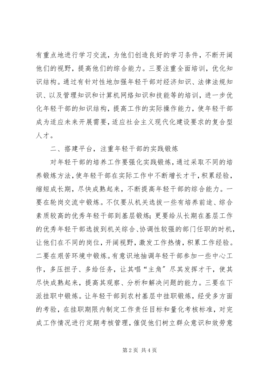 2023年培养选拔年轻干部几点思考.docx_第2页