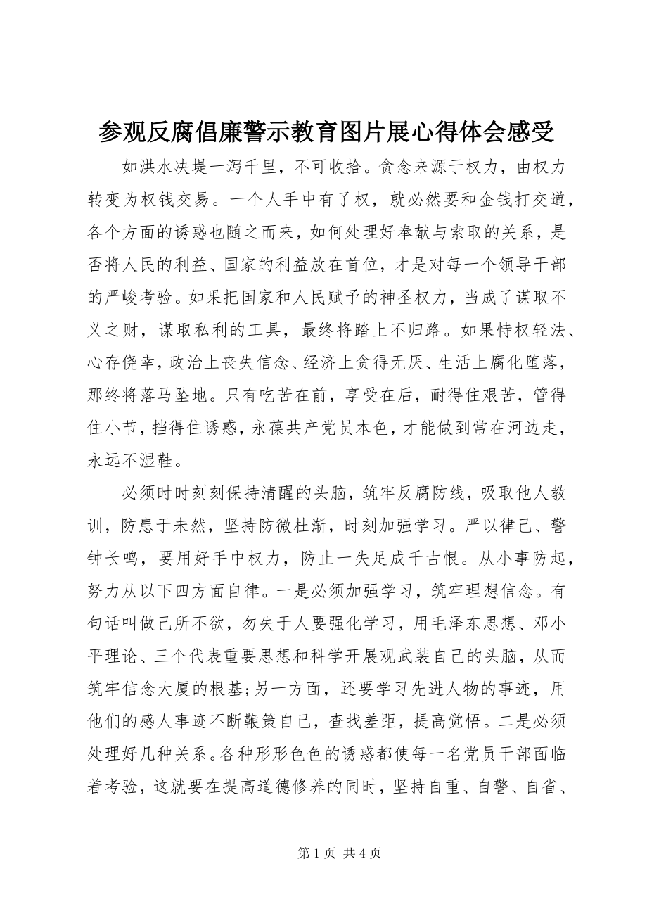 2023年参观《反腐倡廉警示教育图片展》心得体会感受新编.docx_第1页