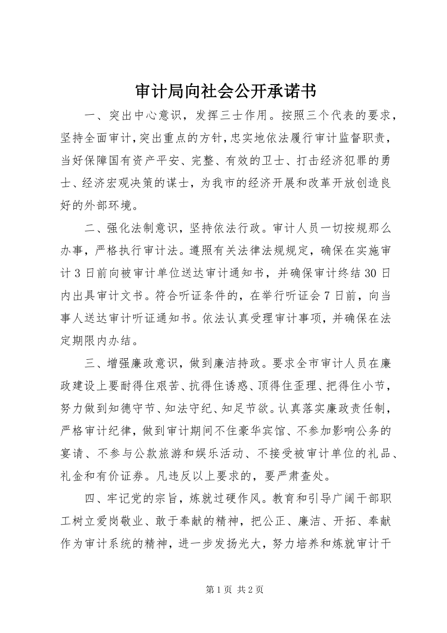 2023年审计局向社会公开承诺书.docx_第1页