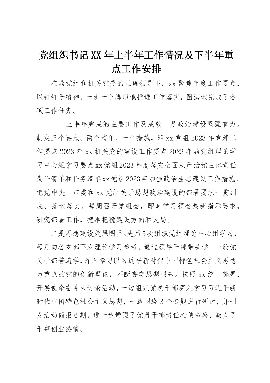 2023年党组织书记某年上半年工作情况及下半年重点工作安排.docx_第1页