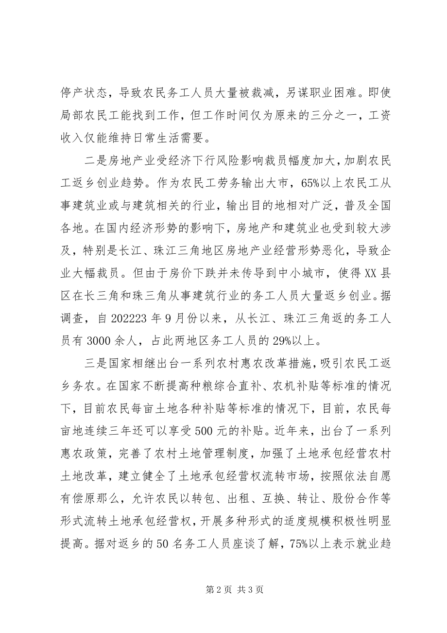 2023年论金融危机对农民工就业影响.docx_第2页