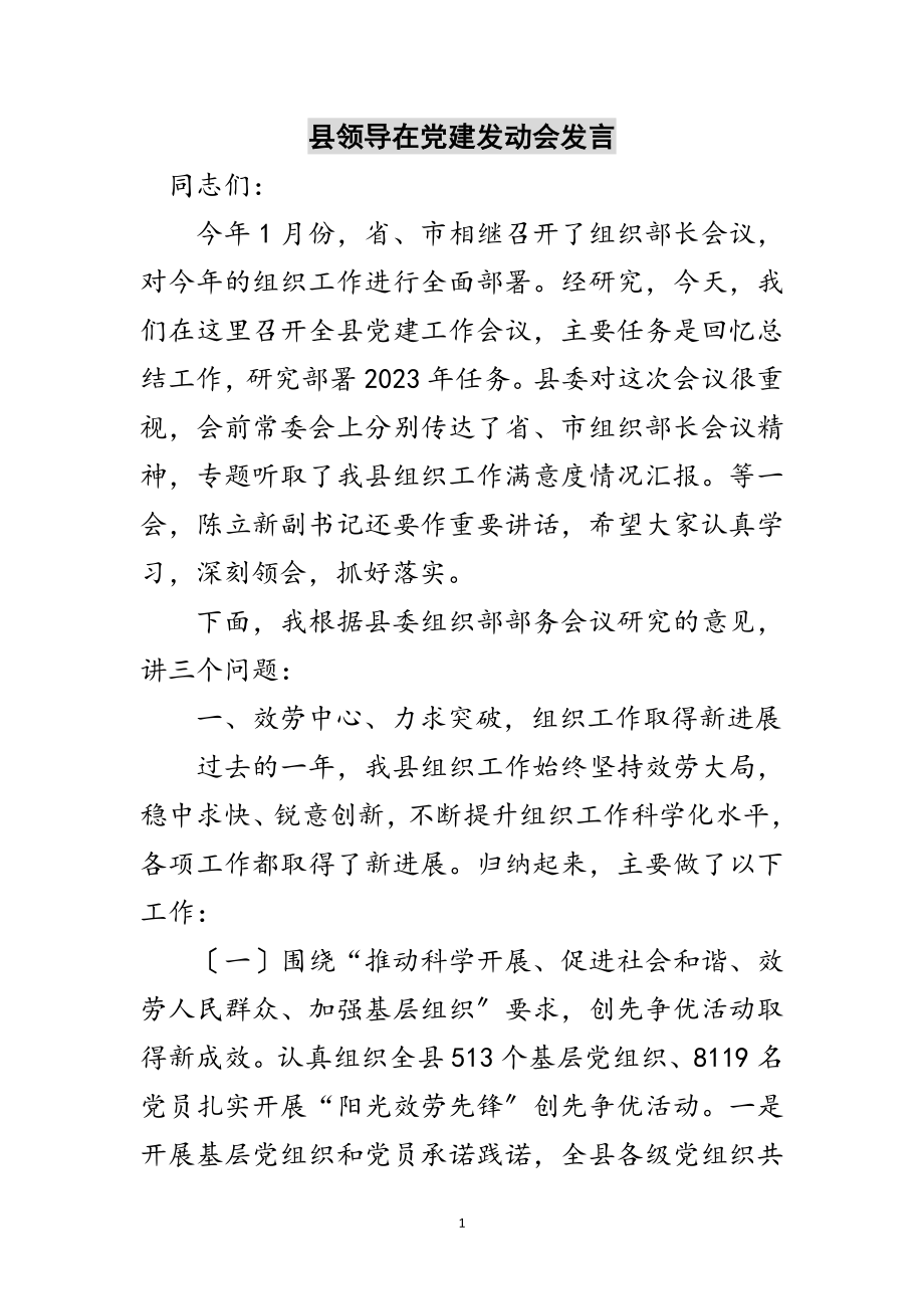 2023年县领导在党建动员会发言范文.doc_第1页