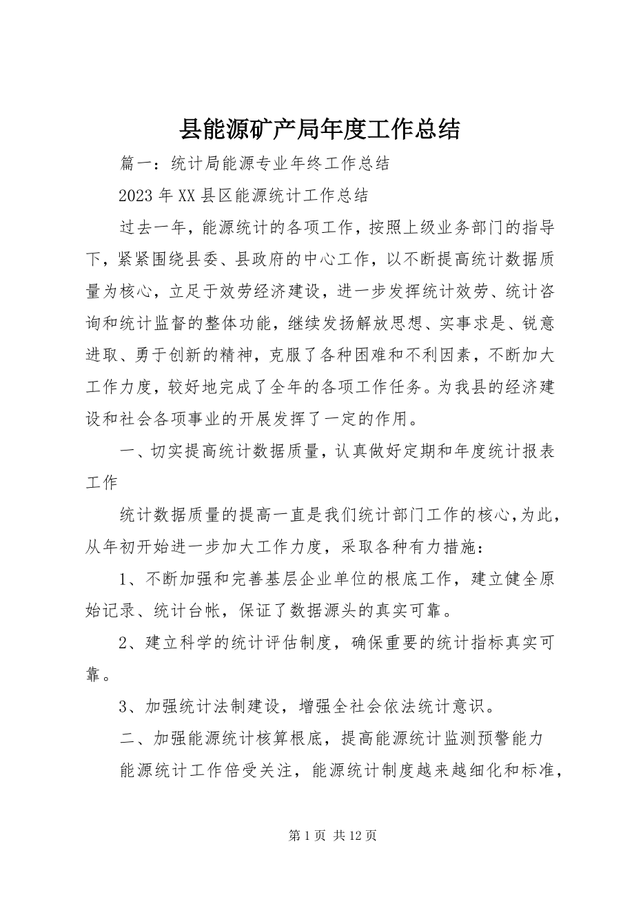 2023年县能源矿产局年度工作总结.docx_第1页