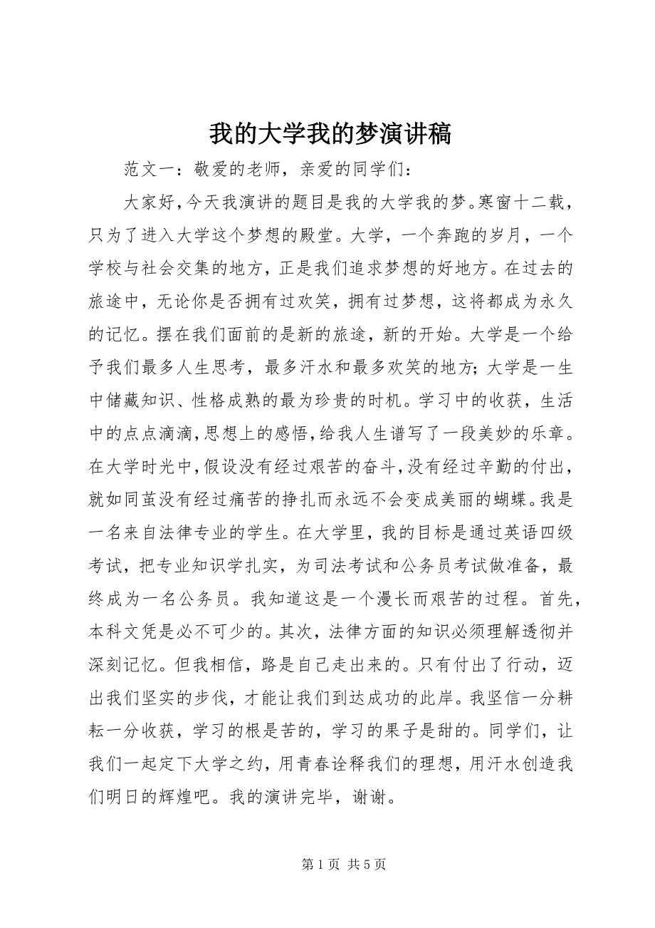 2023年我的大学我的梦演讲稿.docx_第1页