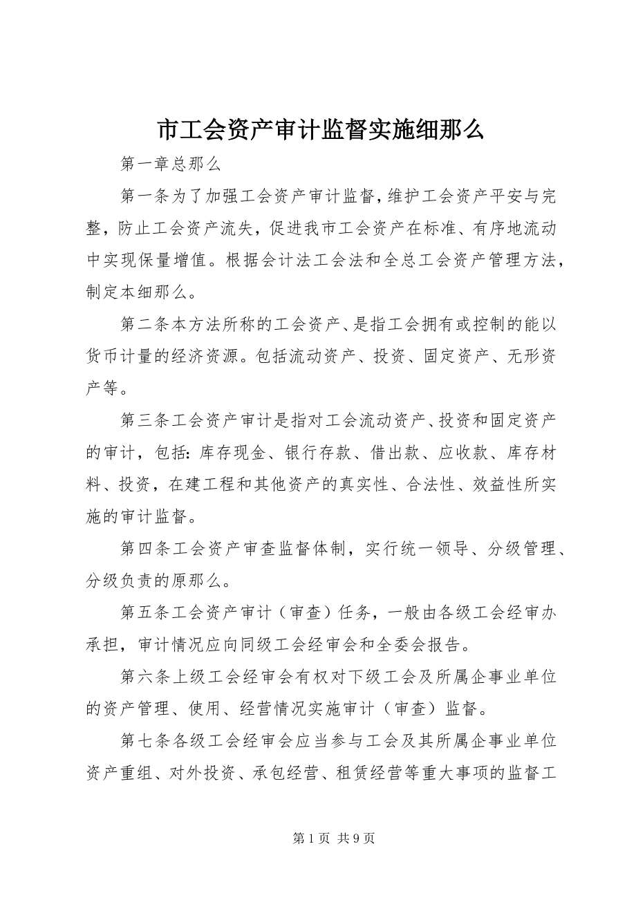 2023年市工会资产审计监督实施细则.docx_第1页