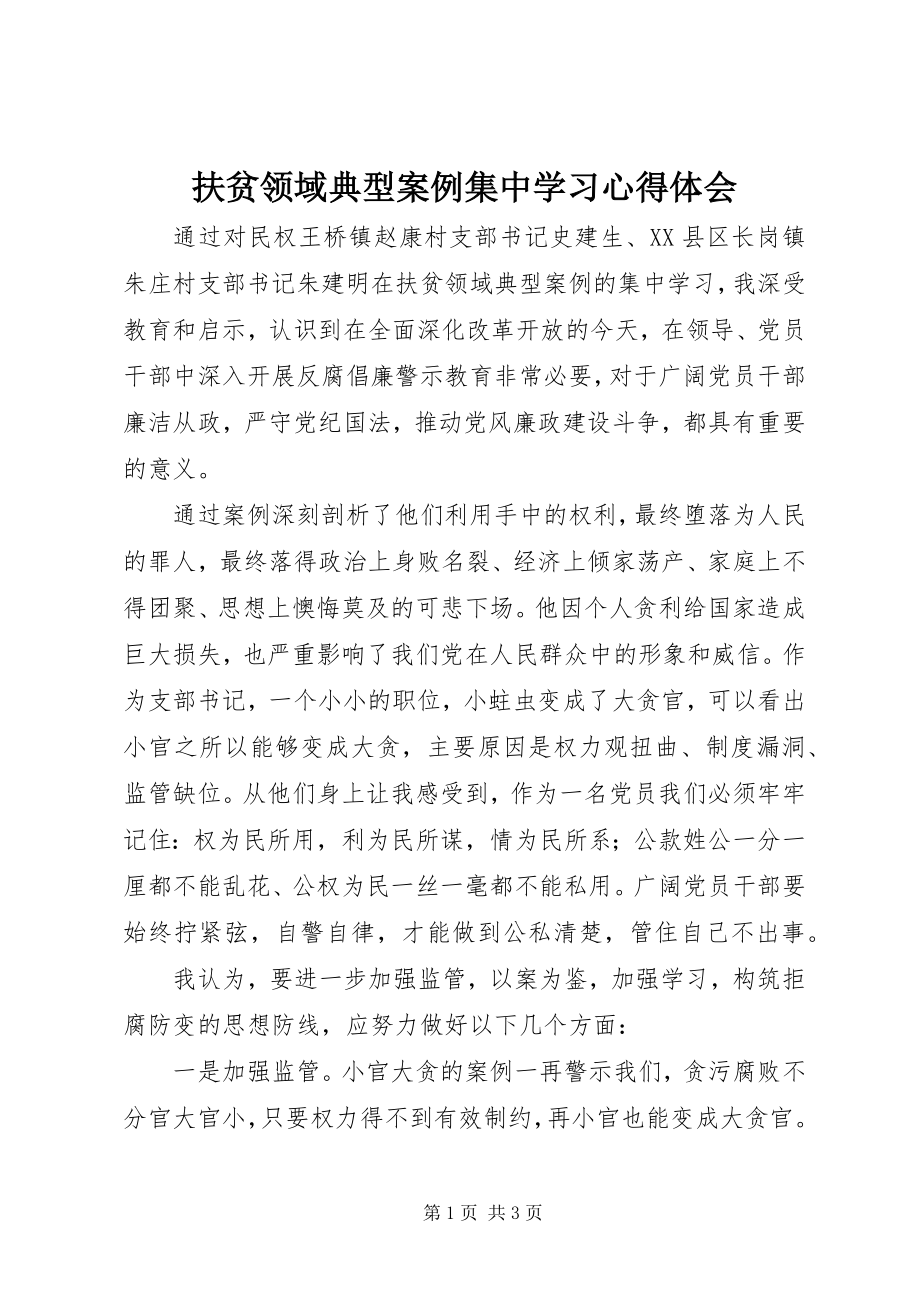 2023年扶贫领域典型案例集中学习心得体会.docx_第1页