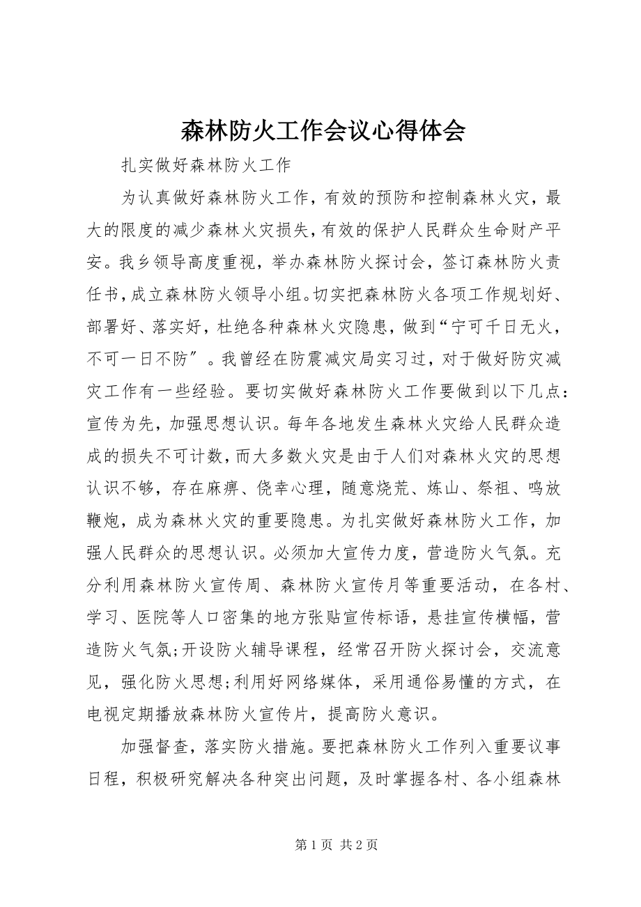 2023年森林防火工作会议心得体会.docx_第1页