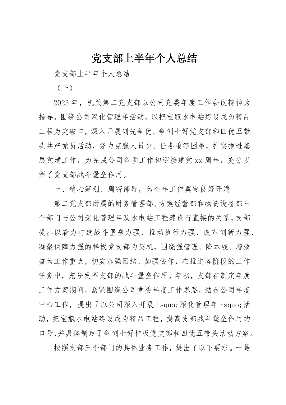 2023年党支部上半年个人总结.docx_第1页