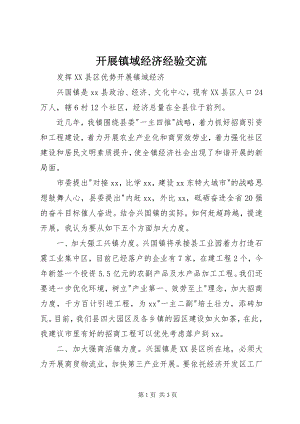 2023年发展镇域经济经验交流.docx