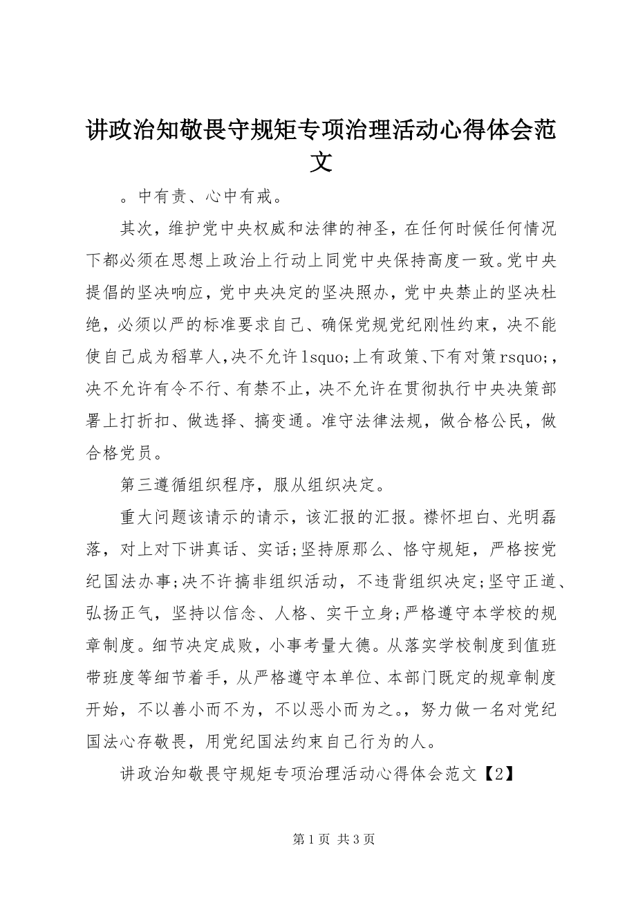 2023年讲政治知敬畏守规矩专项治理活动心得体会.docx_第1页