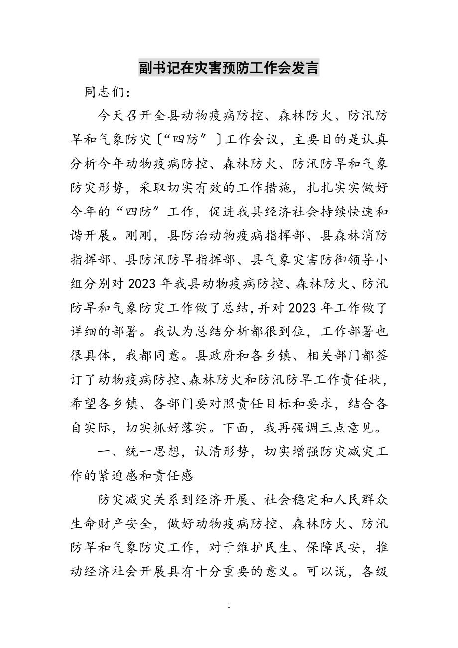 2023年副书记在灾害预防工作会发言范文.doc_第1页