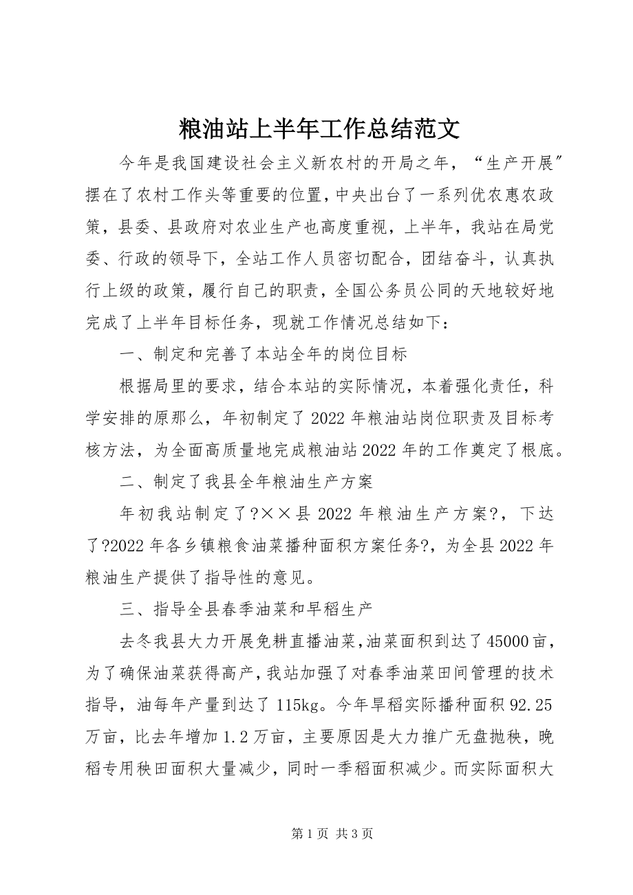 2023年粮油站上半年工作总结3.docx_第1页